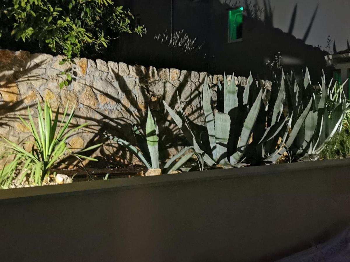 Apartments Mara 茨雷斯 外观 照片