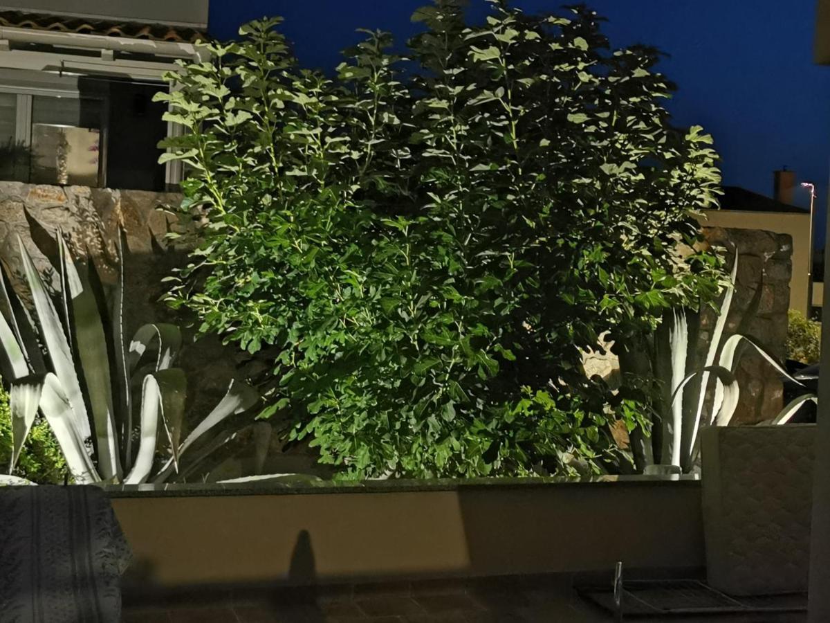 Apartments Mara 茨雷斯 外观 照片
